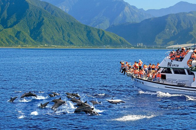 Taiwan Hualien Whale Watching Dolphin - Hualien’s coast from the water