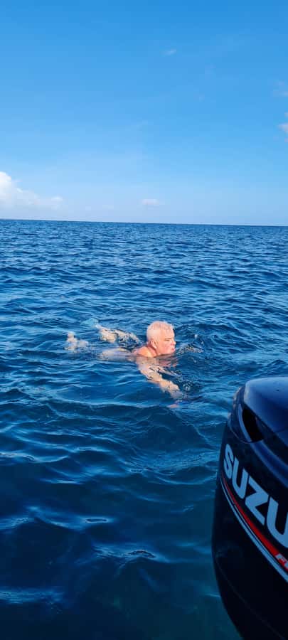 Tamarin: Dolphin Snorkel, CrystalRock, ile o Benitiers Lunch - What to pack for a comfortable day