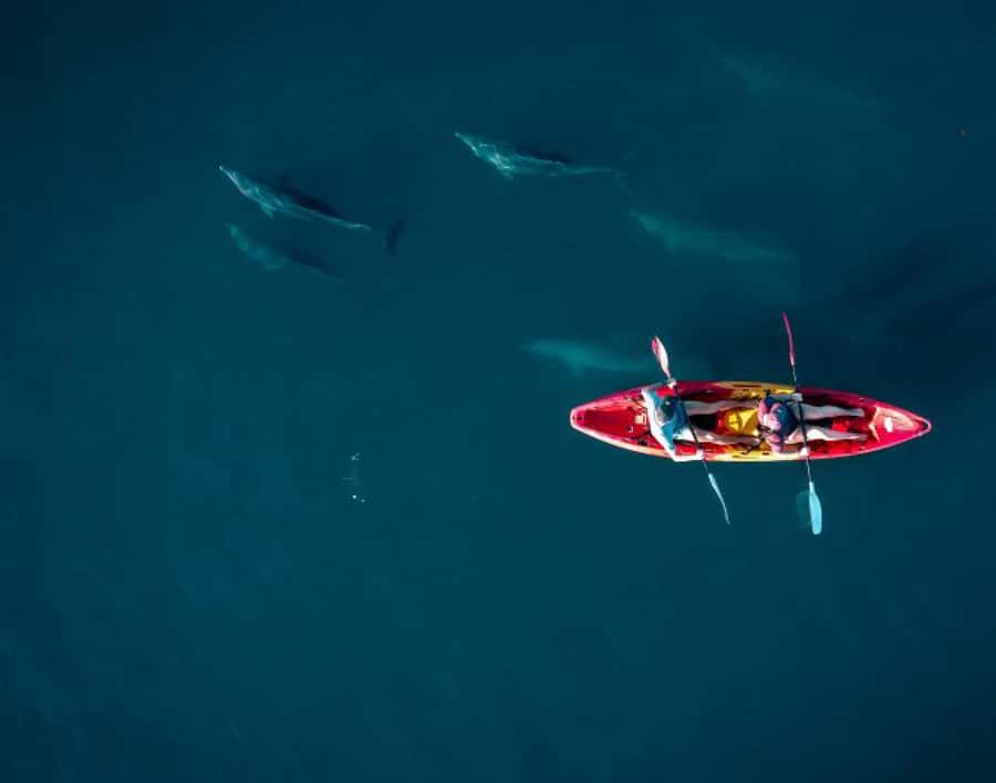 Tamarin: Guided Kayak Tour with Dolphins - Sunrise from Tamarin Beach