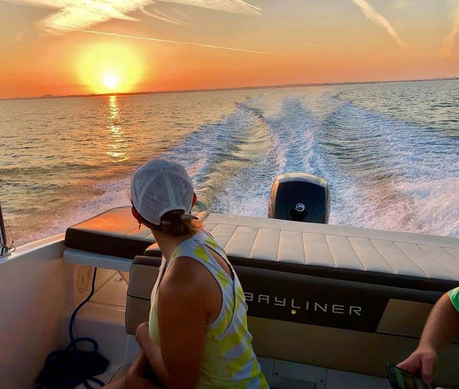 Tampa Bay: Private Sunrise Dolphin & Island Cruise - Watching dolphins during the morning feed