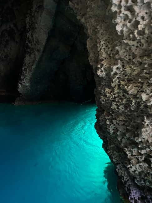 Taormina: Dolphin Tour and Sunset Aperitif Boat Tour - What the $57 price buys you
