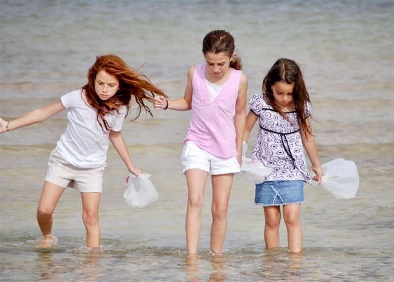 Tarpon Springs: Evening Dolphin Cruise - Key points to know before you book