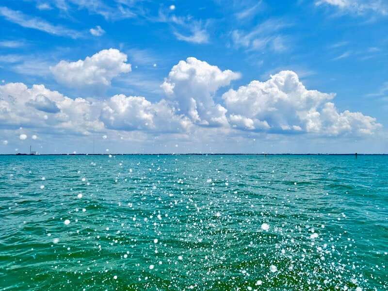 Tarpon Springs: Evening Dolphin Cruise - Choosing the right departure time