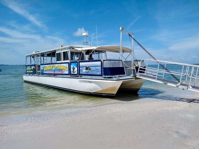 Tarpon Springs: Evening Dolphin Cruise - Practical tips for a smoother outing