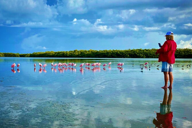 Ten Thousand Islands Eco/Dolphin Tour - Key Points to Know Before You Go