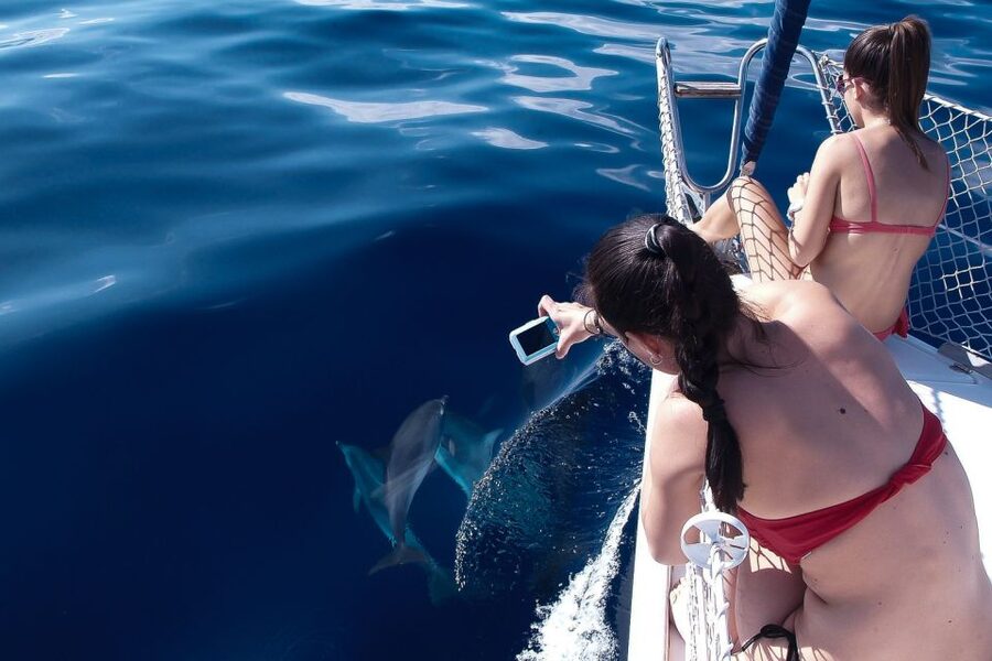 Tenerife: 3 &-6 Hour Private Whale & Dolphin Watching - Why the Six-Hour Option Changes the Value