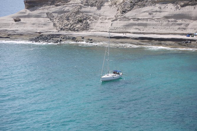 Tenerife 3-Hour Discover Whales and Dolphins - Key points at a glance