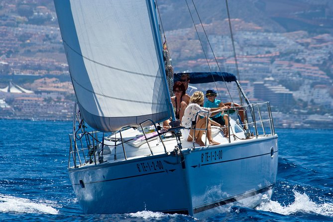 Tenerife 3-Hour Discover Whales and Dolphins - The open-water section: three hours used well