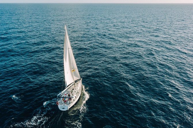 Tenerife 3-Hour Discover Whales and Dolphins - Why the small group changes the experience