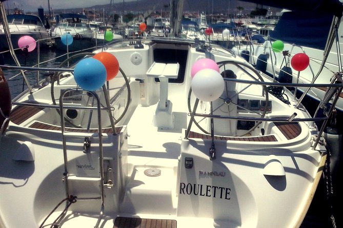 Tenerife 3-Hour Discover Whales and Dolphins - What you may see beyond Puerto Colon