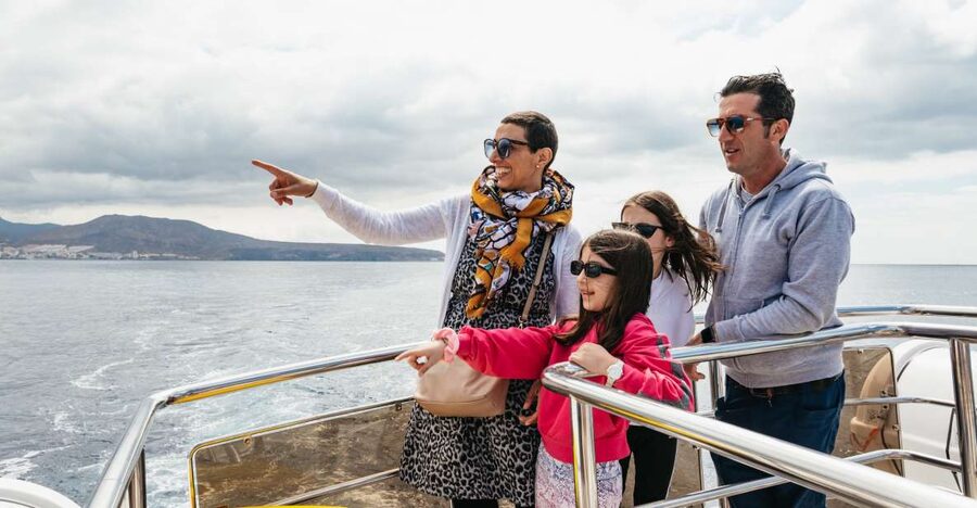Tenerife: Eco-Yacht Whale and Dolphin Watching and Swimming - What the $13 price really gives you
