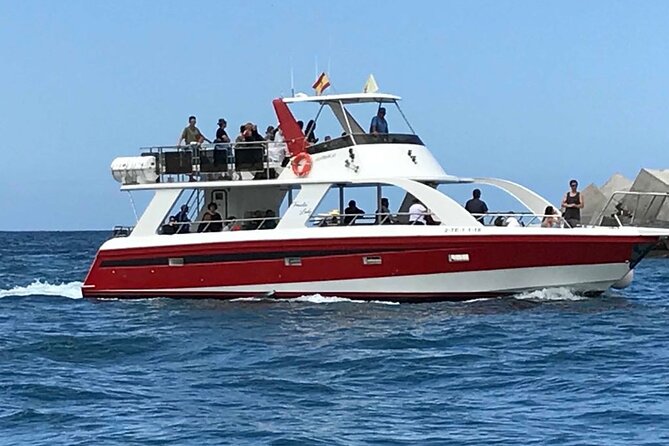 Tenerife Los Cristianos: Whale and Dolphin Eco-Yacht and Swim Stop - Who will enjoy this trip most?