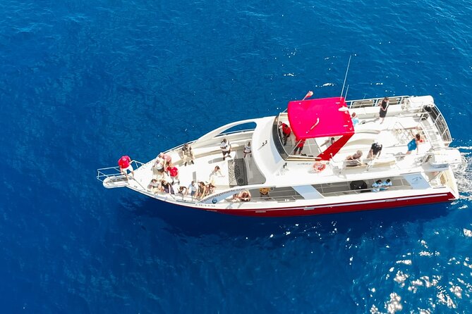 Tenerife Los Cristianos: Whale and Dolphin Eco-Yacht and Swim Stop - Seeing wildlife at a respectful distance