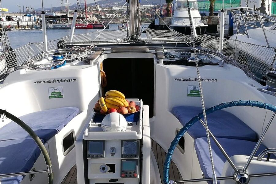 Tenerife: Luxury Private Whale & Dolphin Watching Tour - Key points at a glance