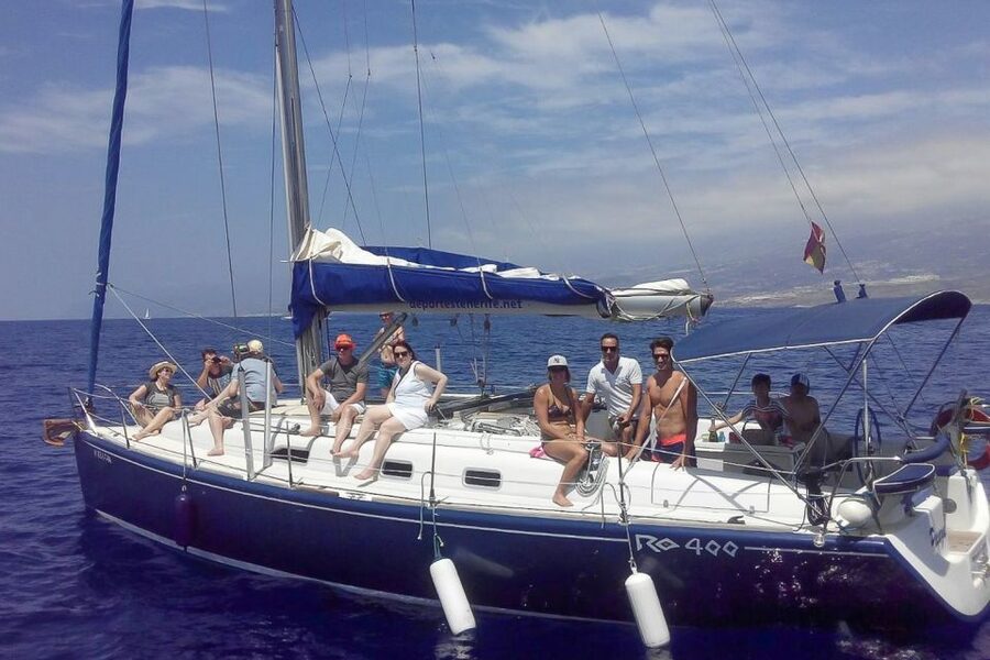 Tenerife: Luxury Private Whale & Dolphin Watching Tour - Anchoring in a secluded bay