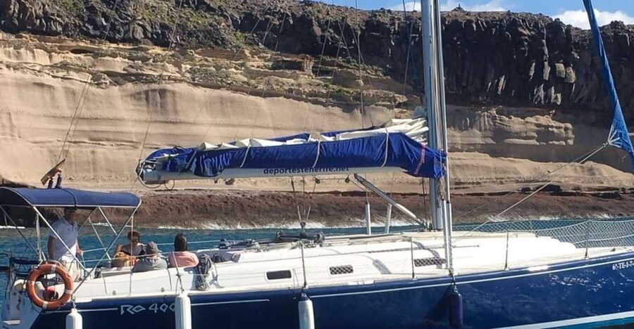 Tenerife: Luxury Private Whale & Dolphin Watching Tour - Pilot whales and the first wildlife sightings