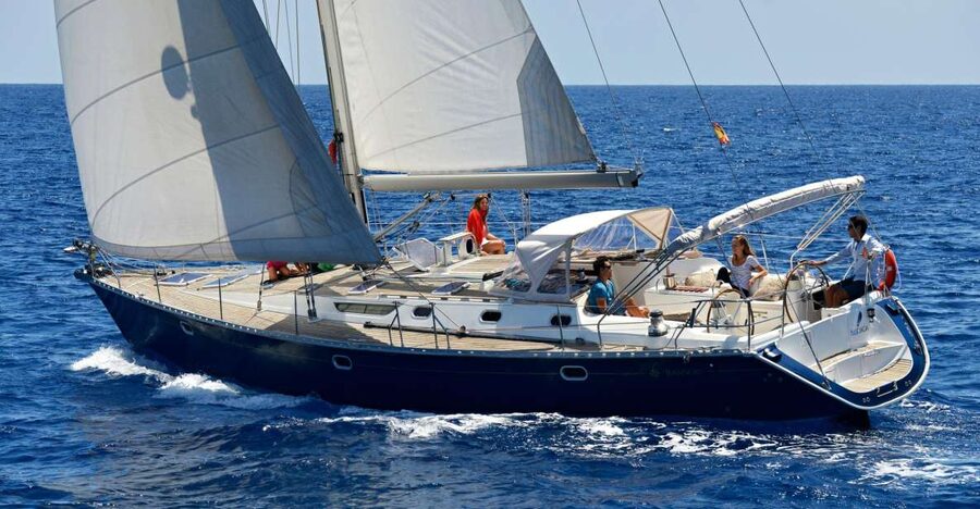 Tenerife: Sailing Excursion with Whale and Dolphin Watching - Setting out from Puerto Colón