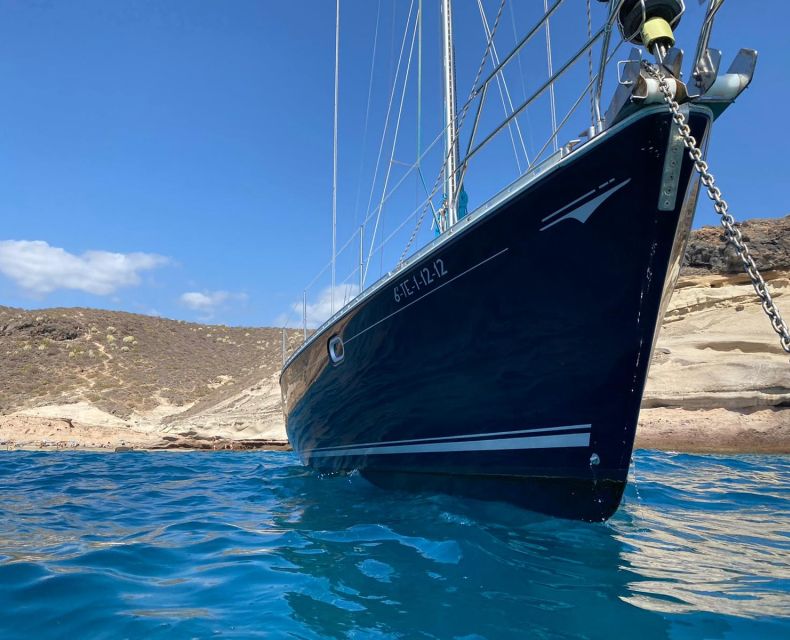 Tenerife: Sailing Excursion with Whale and Dolphin Watching - Swimming and snorkeling in a secluded bay