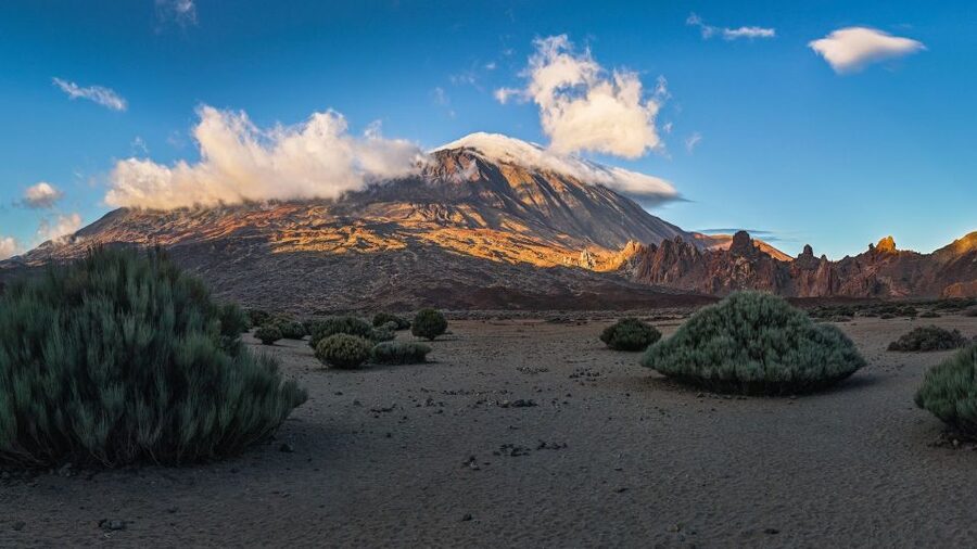 Tenerife: Teide National Park and Dolphins Sailboat Tour - Key points at a glance