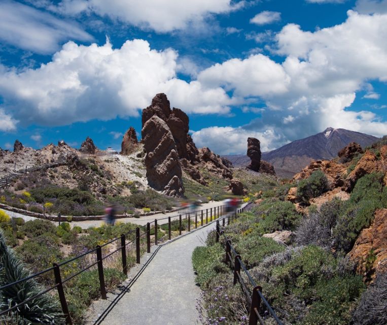Tenerife: Teide National Park and Dolphins Sailboat Tour - What the $218 price really covers