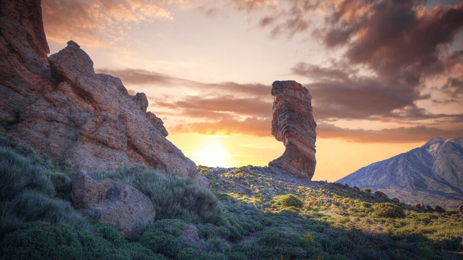Tenerife: Teide National Park and Dolphins Sailboat Tour - Guides, language, and the private-group format
