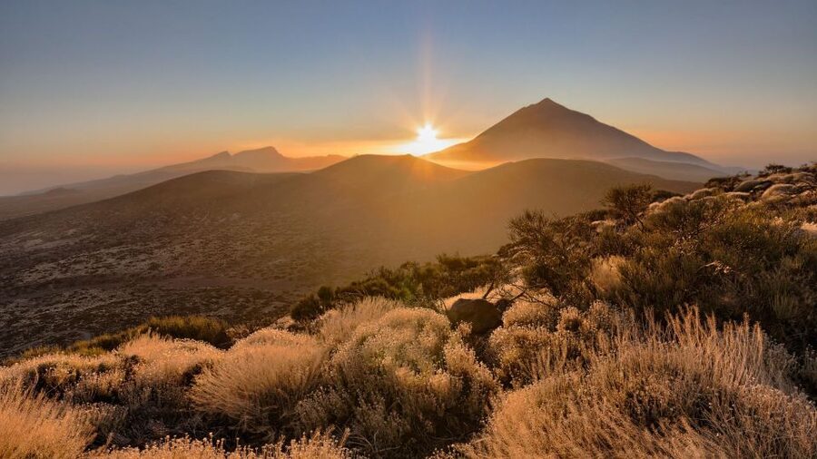 Tenerife: Teide National Park and Dolphins Sailboat Tour - Teide’s volcanic scenery, viewed from several stops