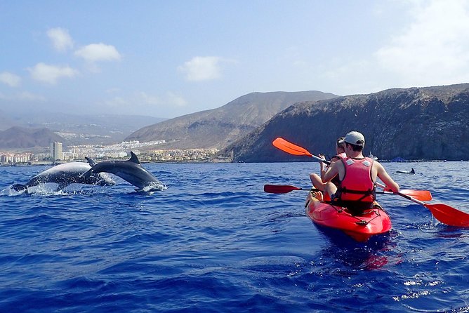 Tenerife: Turtle & Dolphin Kayak Tour with Snorkel & Wetsuit - Along the Guaza Mountains and Tenerife’s west coast