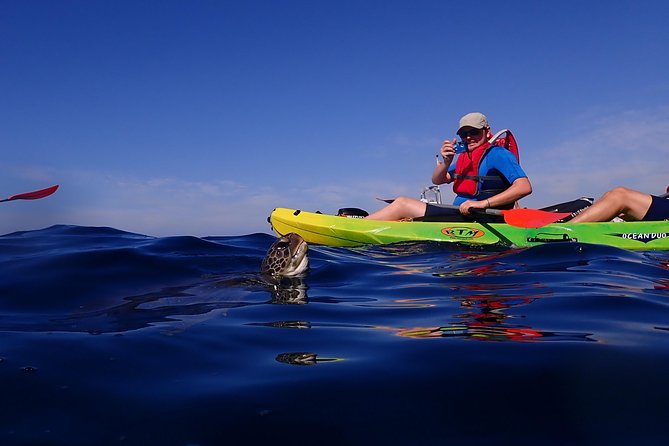 Tenerife: Turtle & Dolphin Kayak Tour with Snorkel & Wetsuit - The snorkeling stop and what it adds