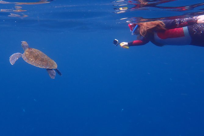 Tenerife: Turtle & Dolphin Kayak Tour with Snorkel & Wetsuit - The return view toward Mount Teide