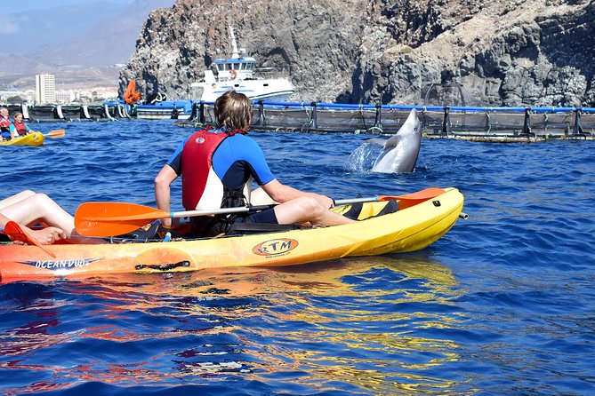 Tenerife: Turtle & Dolphin Kayak Tour with Snorkel & Wetsuit - The guides make a real difference
