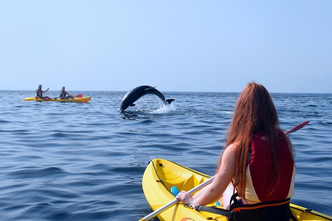 Tenerife: Turtle & Dolphin Kayak Tour with Snorkel & Wetsuit - Who should book this kayak trip?
