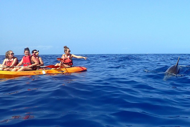Tenerife: Turtle & Dolphin Kayak Tour with Snorkel & Wetsuit - Timing, weather, and the practical details