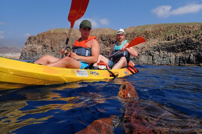 Tenerife: Turtle & Dolphin Kayak Tour with Snorkel & Wetsuit - Watching for dolphins, turtles, and rays