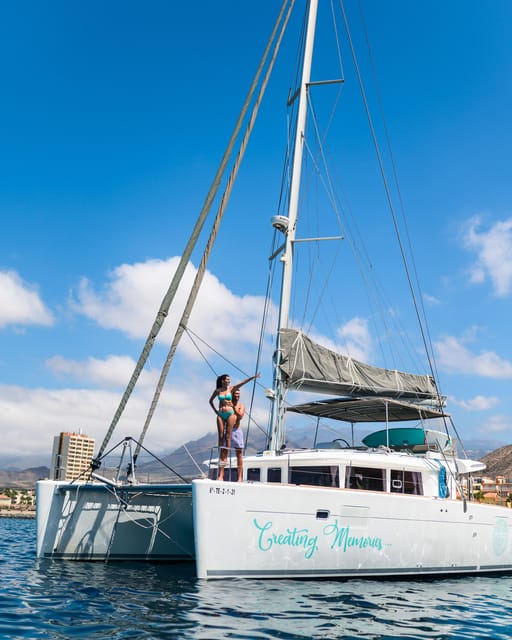 Tenerife: Whale and Dolphin Watching Boat Tour - Key points to know before booking