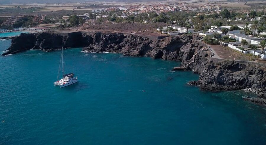 Tenerife: Whale and Dolphin Watching Boat Tour - Two hours of searching Tenerife’s open water
