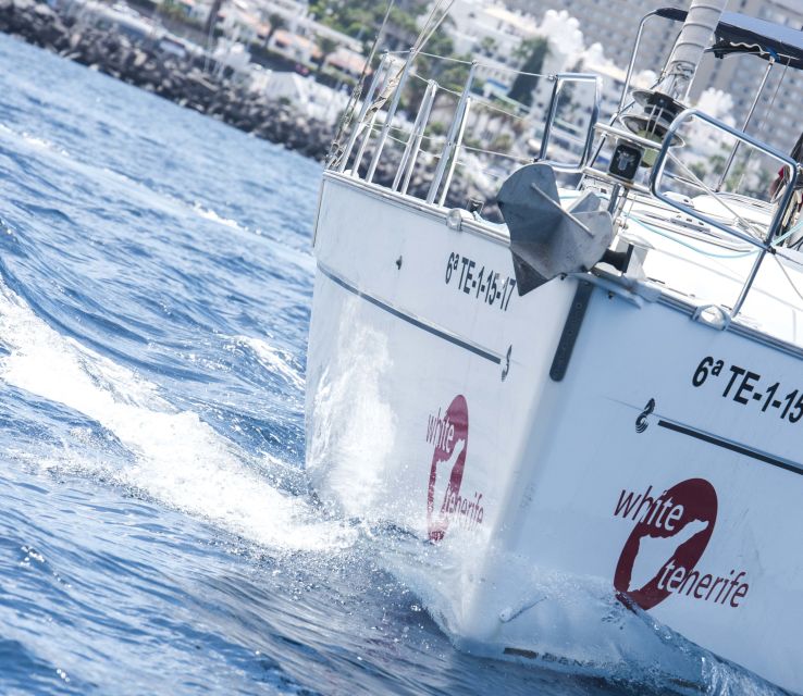Tenerife: Whale and Dolphin Watching Tour by Sailboat - Food, Drinks, and Time on Deck