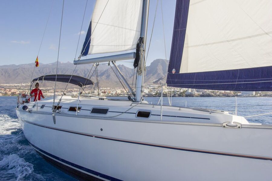 Tenerife: Whale and Dolphin Watching Tour by Sailboat - How Much Value You Get for $69