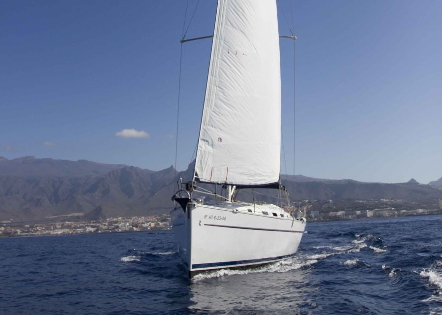 Tenerife: Whale and Dolphin Watching Tour by Sailboat - What the Small Boat Changes
