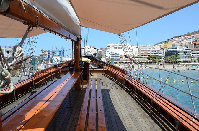 Tenerife: Whale and Dolphin Watching with a Plunge - Returning to Los Cristianos after the wildlife search