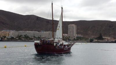 Tenerife: Whale & Dolphin Watching Cruise with Swim Stop
