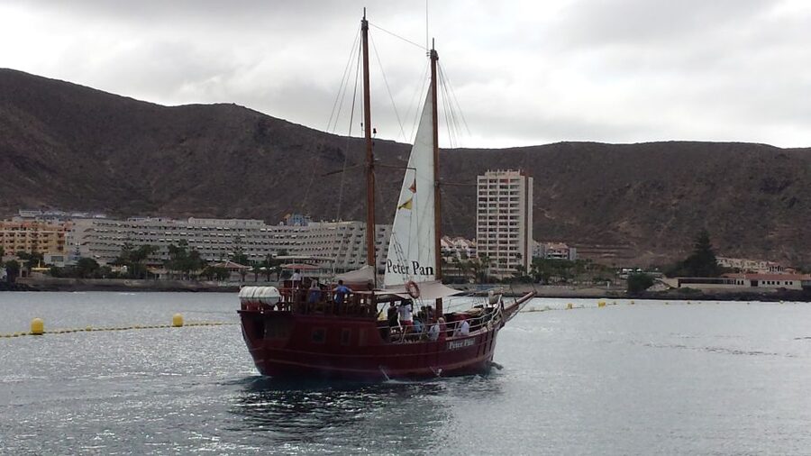 Tenerife: Whale & Dolphin Watching Cruise with Swim Stop - Two hours in the Atlantic with wild animals