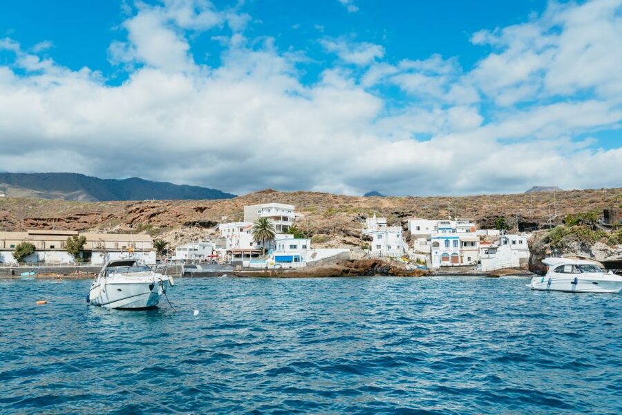 Tenerife: Whale & Dolphin Watching with Drinks and Snacks - Should you book this Tenerife whale watching cruise?