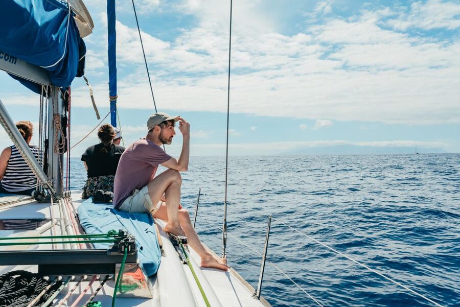 Tenerife: Whale & Dolphin Watching with Drinks and Snacks - A respectful way to watch wildlife