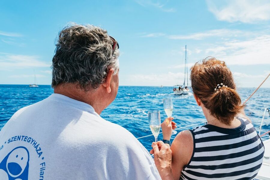 Tenerife: Whale & Dolphin Watching with Drinks and Snacks - Anchoring in a secluded bay