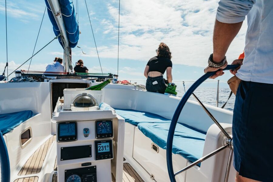 Tenerife: Whale & Dolphin Watching with Drinks and Snacks - Food, drinks, and the value of $77