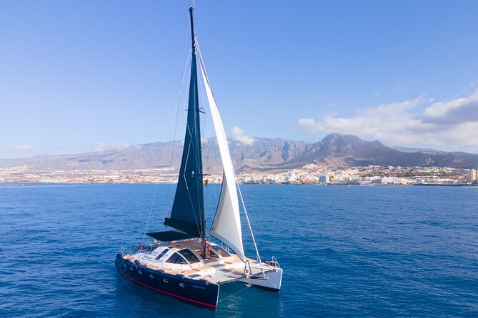 Tenerife Whales and Dolphins Watching Experience in Catamaran - Food, drinks, and the value of a $68.98 ticket