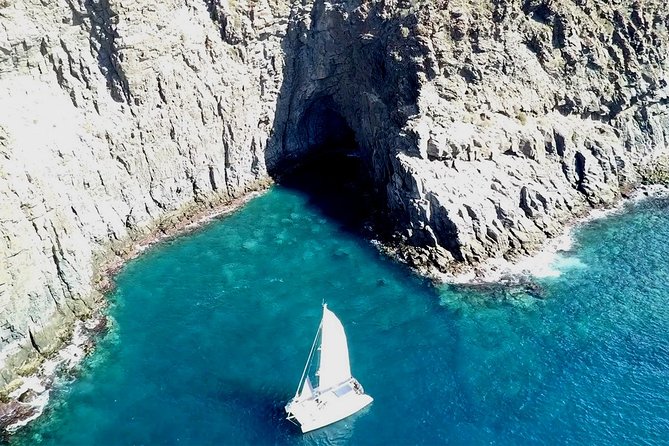 Tenerife Whales and Dolphins Watching Experience in Catamaran - The south coast from the water