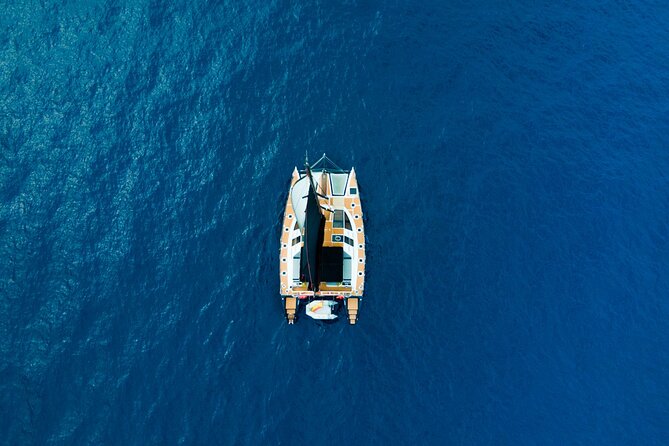 Tenerife Whales and Dolphins Watching Experience in Catamaran - Timing, weather, and cancellation rules