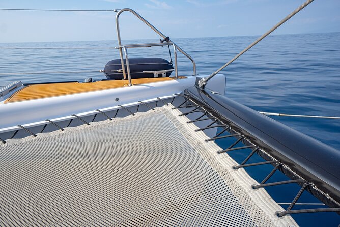 Tenerife Whales and Dolphins Watching Experience in Catamaran - Should you book White Tenerife’s catamaran?