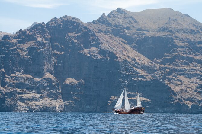 Tenerife : Whales and Dolphins with Food and Bath in Los Gigantes - What the $66.42 price really covers